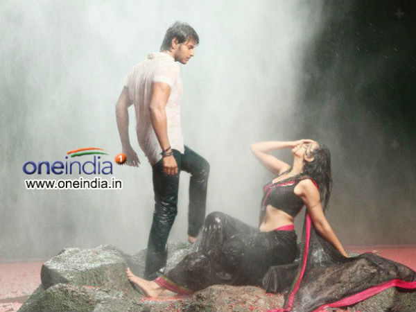 Venkatadri Express Total Collection At Box Office