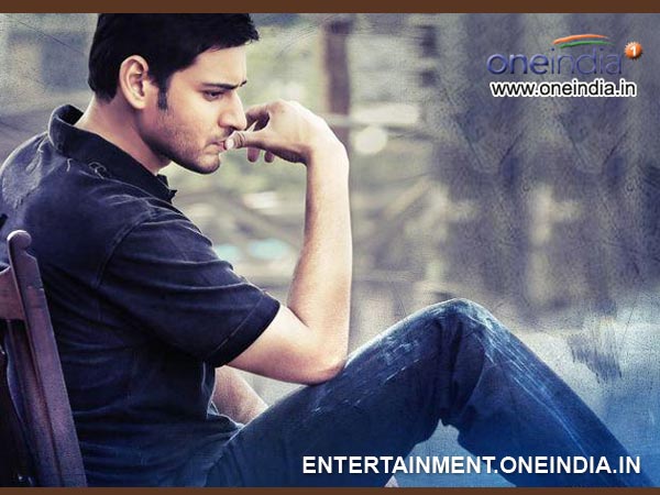 15 Businessman Collection