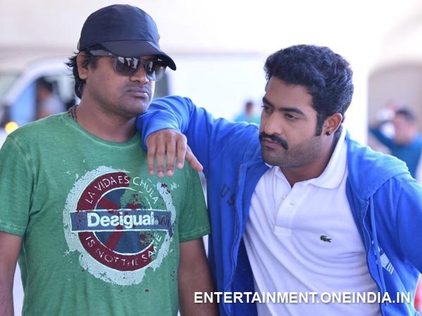 Harish Shankar's Birthday Wishes To Junior NTR
