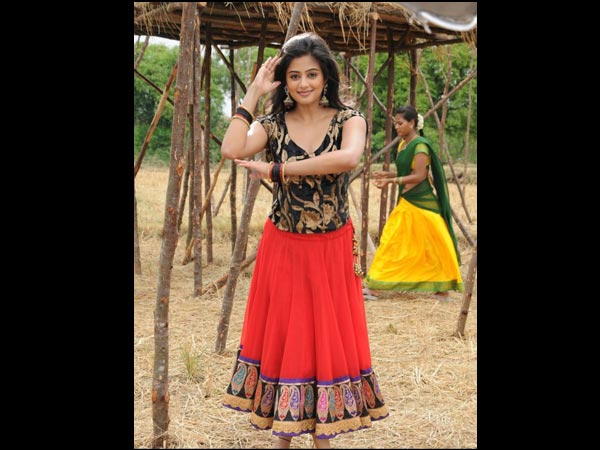 Tamil Actress Priyamani's Height