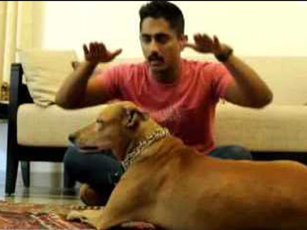 Siddharth's Pet Dog