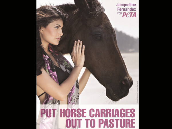 Jacqueline Fernandez